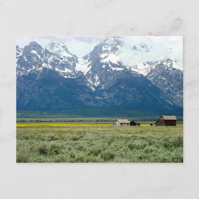 Grand Teton National Park Postcard (Front)