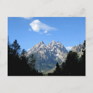 Grand Teton National Park Postcard