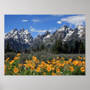 Grand Teton National Park Poster