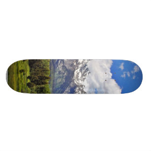Grand Teton National Park. Skateboard