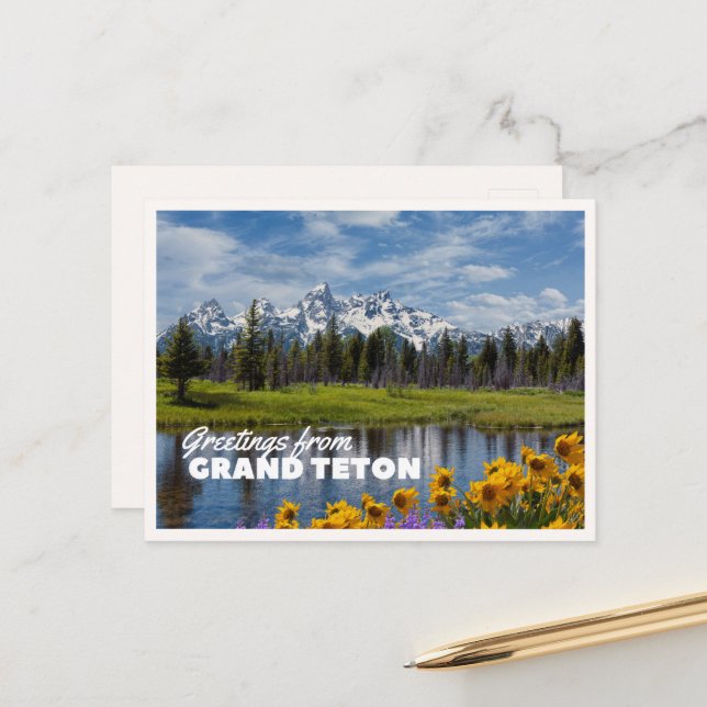 Grand Teton National Park Spring Flower Reflection Postcard (Front/Back In Situ)