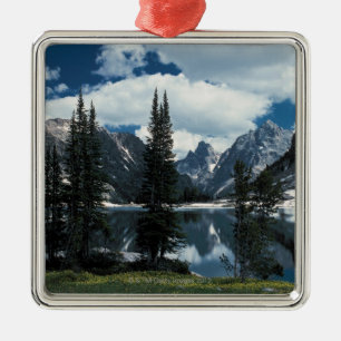 Grand Teton National Park , Wyoming Metal Tree Decoration