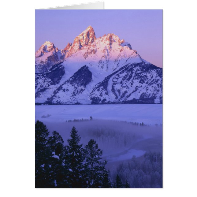 GRAND TETON NATIONAL PARK, WYOMING. USA. Fog & (Front)