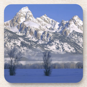 GRAND TETON NATIONAL PARK, WYOMING. USA. Fog & Coaster