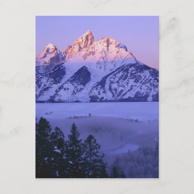 GRAND TETON NATIONAL PARK, WYOMING. USA. Fog & Postcard (Front)