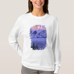 GRAND TETON NATIONAL PARK, WYOMING. USA. Fog & T-Shirt