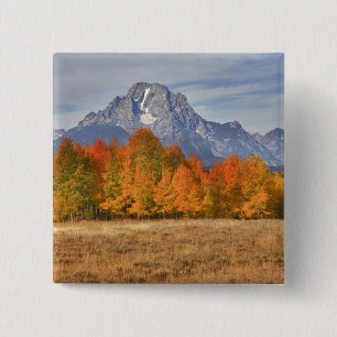Grand Teton NP, Mount Moran and aspen trees 15 Cm Square Badge