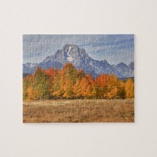 Grand Teton NP, Mount Moran and aspen trees Jigsaw Puzzle