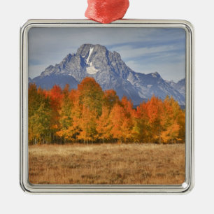 Grand Teton NP, Mount Moran and aspen trees Metal Tree Decoration