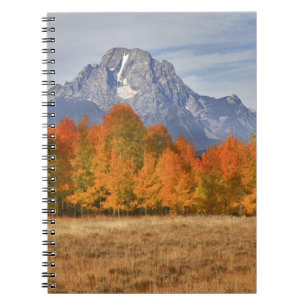 Grand Teton NP, Mount Moran and aspen trees Spiral Notebook