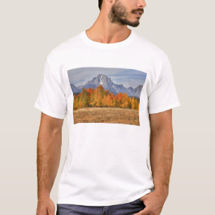Grand Teton NP, Mount Moran and aspen trees T-Shirt