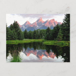 Grand Teton Reflections Over the Beaver Pond Postcard