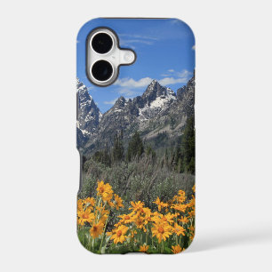 Grand Teton Springtime Souvenir Photo