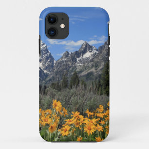 Grand Teton Springtime Souvenir Photo iPhone 11 Case