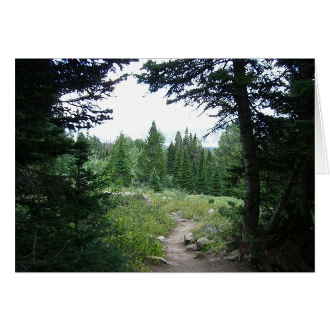 Grand Teton Trail (Front Horizontal)