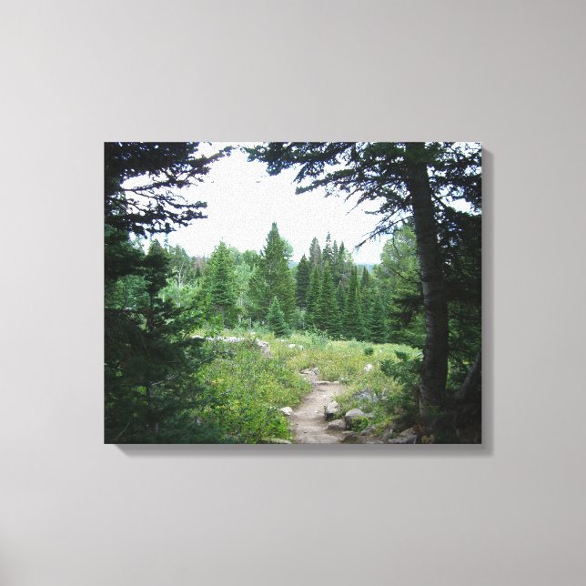 Grand Teton Trail Canvas Print (Front)