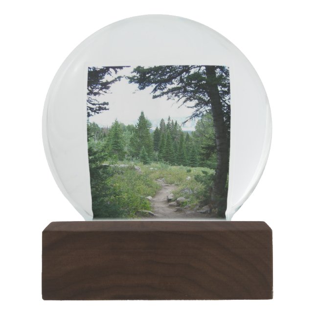 Grand Teton Trail Snow Globe (Front)