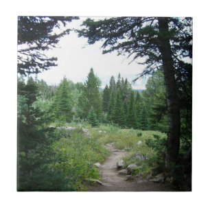 Grand Teton Trail Tile