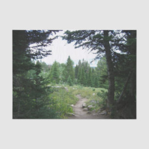 Grand Teton Trail Tissue Paper