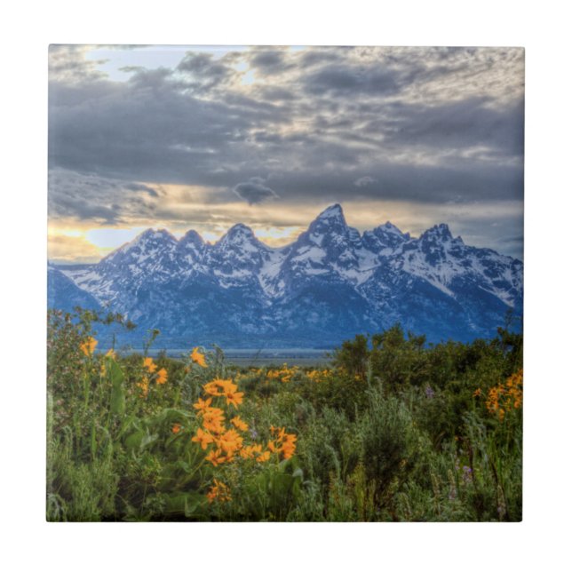 Grand Tetons Tile (Front)