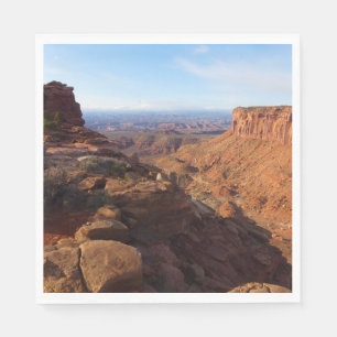 Grand View Point at Canyonlands National Park Napkin