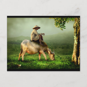 Grandap Relaxing on his Buffalo Postcard