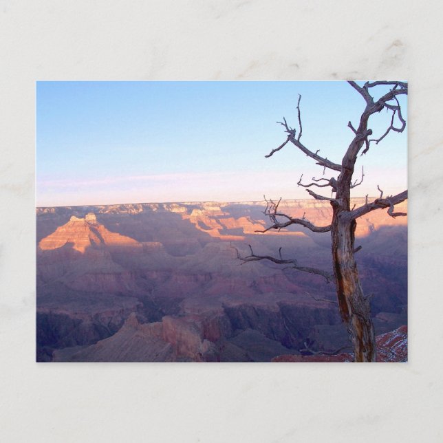 GrandCanyon-View#1 Postcard (Front)