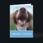 Granddaughter Birthday, Happy Dog with Big Smile Card<br><div class="desc">Celebrating a birthday is something to smile about,  and this happy dog will bring a big smile to your granddaughter's face. This adorable,  carefree pup is a brown and white spaniel who was rescued from the shelter. She now enjoys green grass,  blue skies and many happy birthdays.</div>