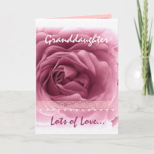 GRANDDAUGHTER Birthday - Pink Rose and Lace Trim Card