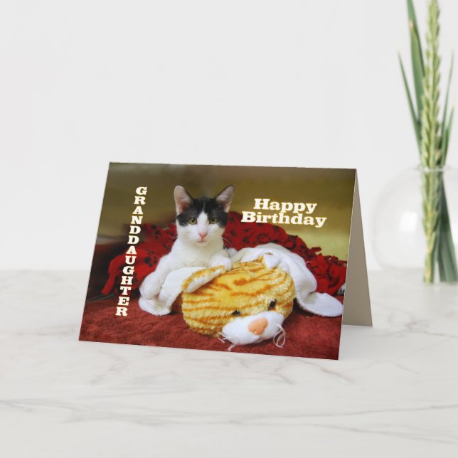 Granddaughter Happy Birthday Kitten with Toy Tiger Card (Front)