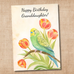 Granddaughter Happy Birthday Parakeet with Tulips Card
