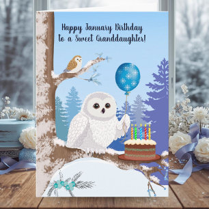 Granddaughter Happy January Birthday Snowy Owl Card