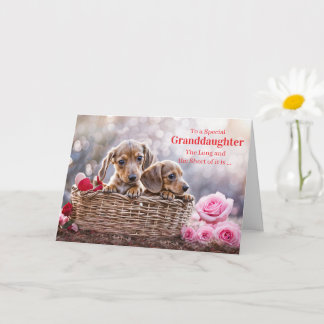 Granddaughter Happy Valentines Day Cute Puppy Dogs Card