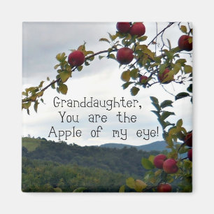 Granddaughter, You are the Apple of my eye! Magnet