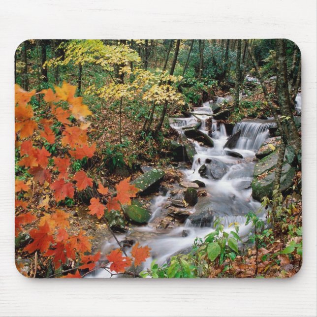 Grandfather Mountain Falls Mouse Pad (Front)