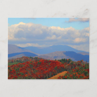 Grandfather Mountain, North Carolina Postcard