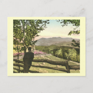 Grandfather Mountain, North Carolina Vintage Postcard