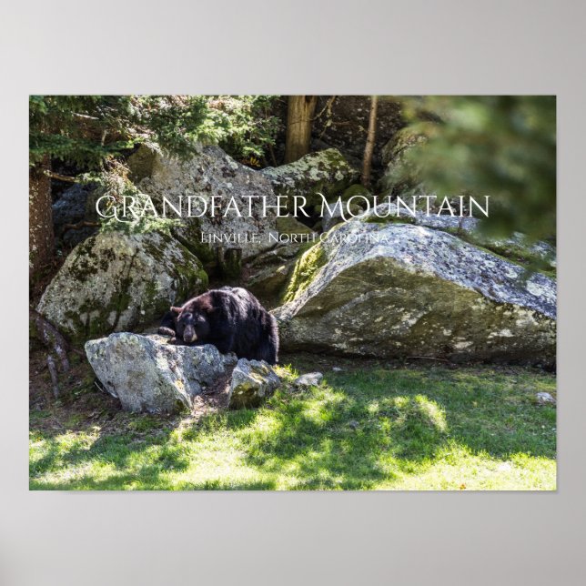 Grandfather Mountain Poster (Front)