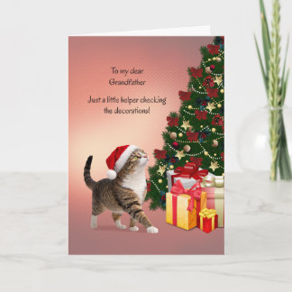 Grandfather with Cat in a Christmas Hat Holiday Card