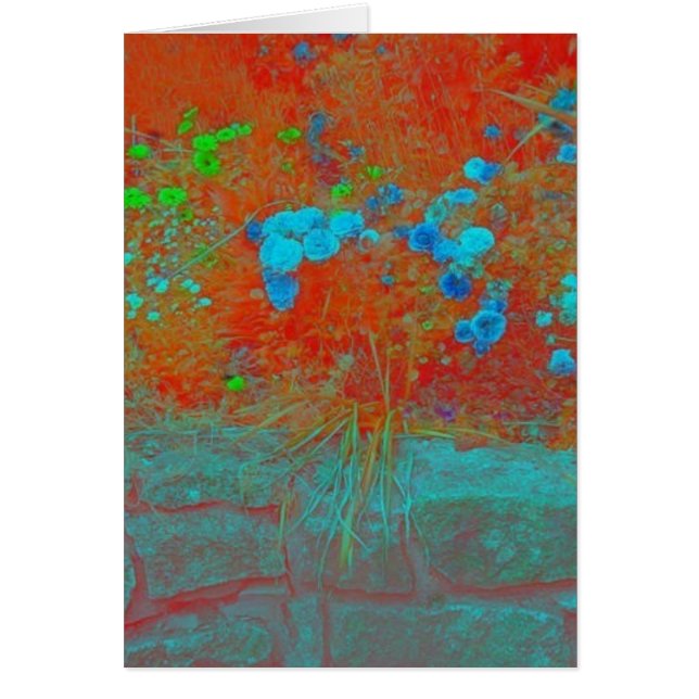 Grandfather's garden (Front)