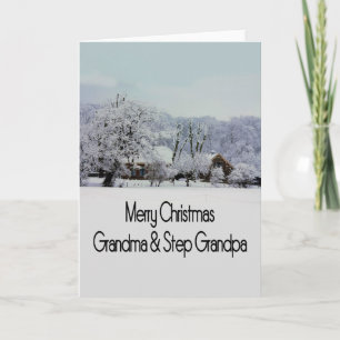 Grandma and Step Grandpa  Merry Christmas card