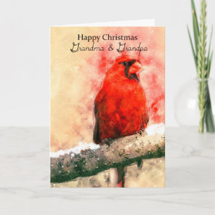 Grandma & Grandpa, watercolor Christmas red cardin Holiday Card