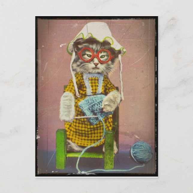 Grandma Kitty Knitting Holiday Postcard (Front)