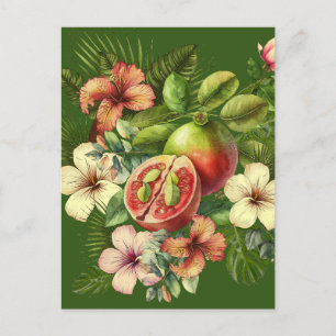 Grandma Manuela's Guavas Postcard