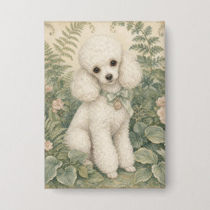 Grandma's Miniature Poodle