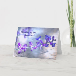 Grandma's Purple Flowers Mother's Day Card