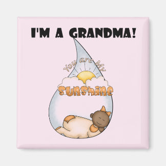 Grandma's Sunshine-African American Girl Magnet