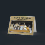 Grandmother Kittens in a Box Happy Birthday Card<br><div class="desc">A snowshoe kitten and a calico kitten bring birthday greetings.  These two-month-old kittens were found as strays when they were only a month old.  They have been nurtured at an animal shelter,  while awaiting adoption.</div>