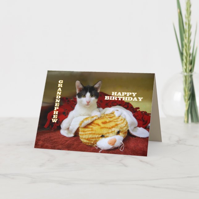 Grandnephew Happy Birthday Kitten with Toy Tiger Card (Front)