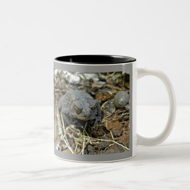 Grandpa Toad Mug (Right)